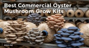 Best Commercial Oyster Mushroom Grow Kits