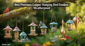 Best Premium Copper Hanging Bird Feeders Weatherproof