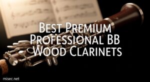 Best Premium Professional Bb Wood Clarinets