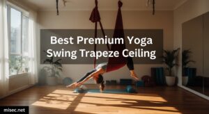 Best Premium Yoga Swing Trapeze Ceiling