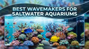 Best Wavemakers for Saltwater Aquariums