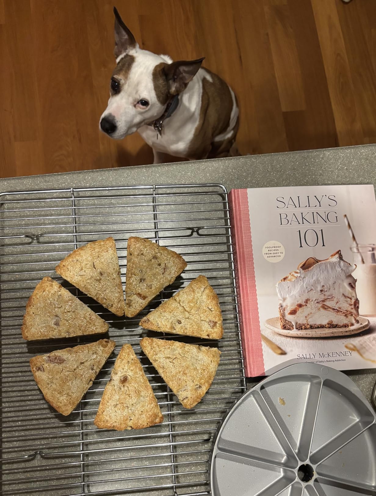 Nordic Ware Scottish Scone and Cornbread Pan customer photo 1