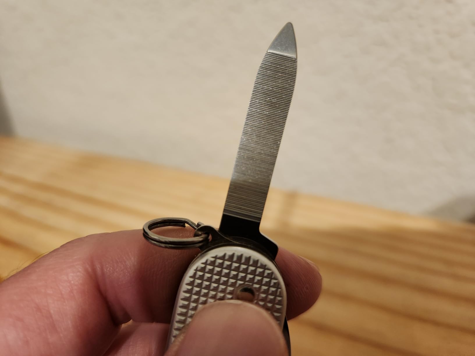 Victorinox Cadet Alox Swiss Army Knife, 9 Functions, Alox scales, Silver - slim multi-tool with large blade, screwdriver, can opener, wire stripper, and nail file customer photo 2
