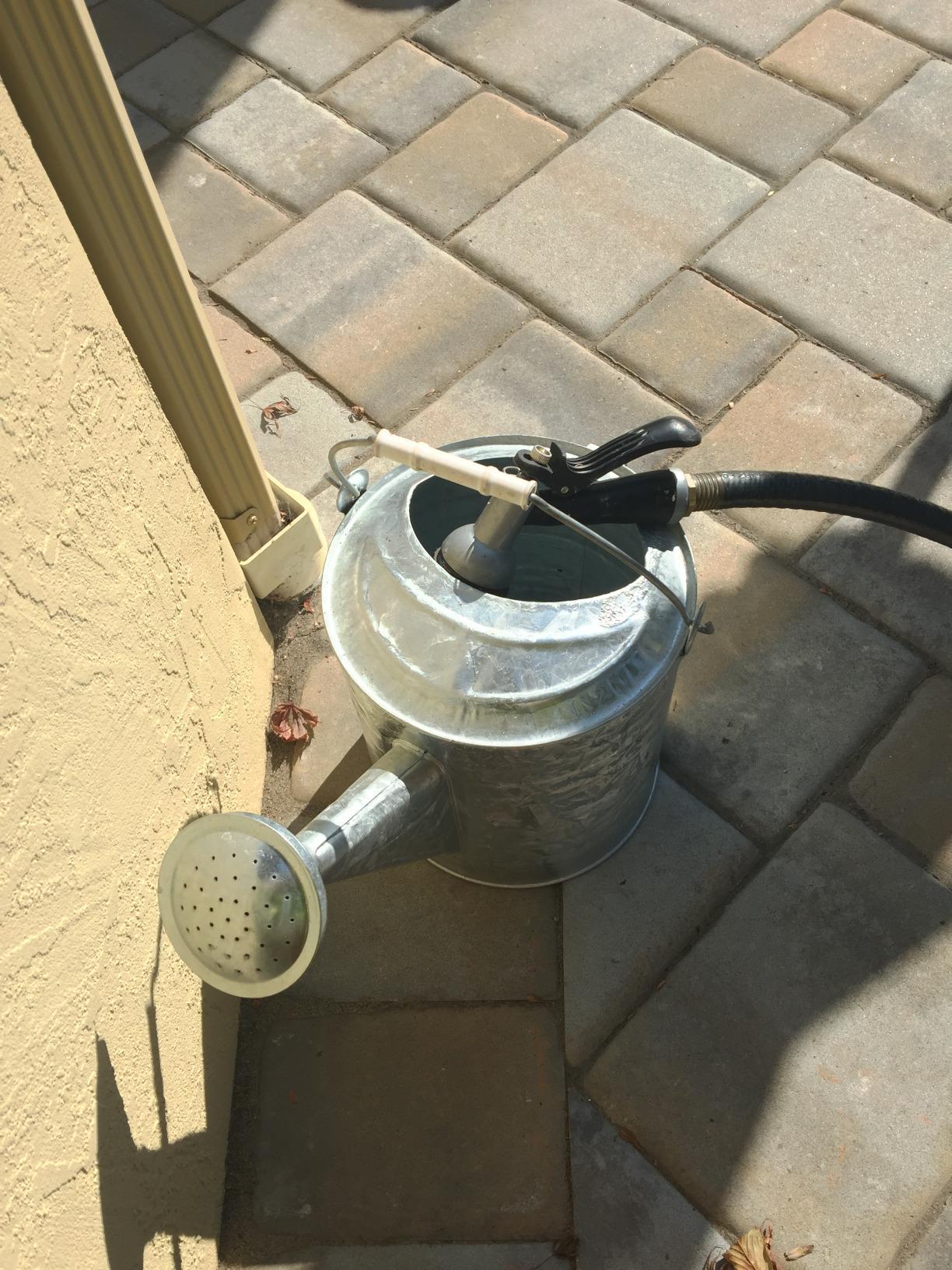 Behrens Weatherproof Hot Dipped Galvanized Steel Watering Can with Wooden Handle and Side Handle for Watering Flowers and Gardens, Gray. customer photo 1