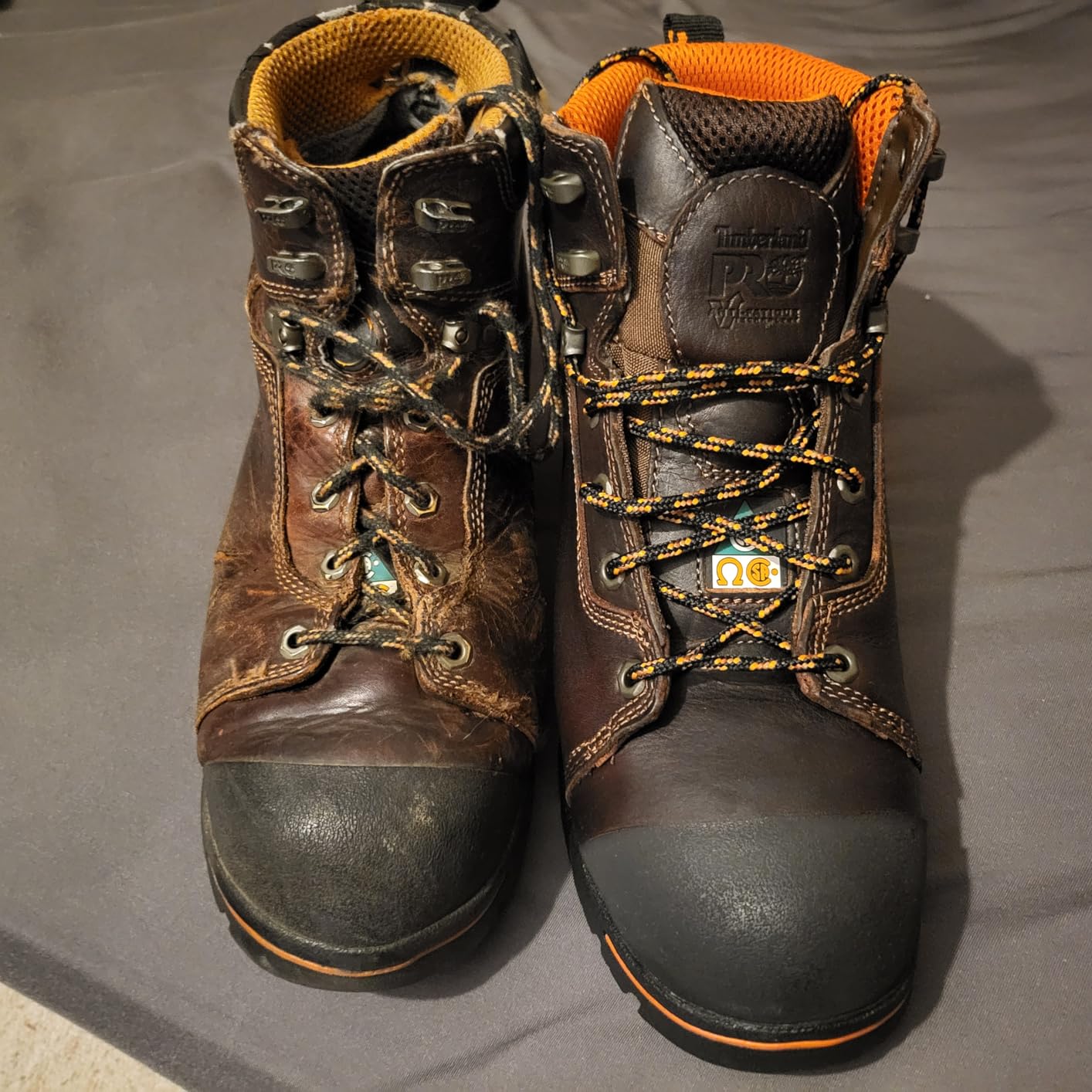 Caterpillar Men's 52562 Endurance 6