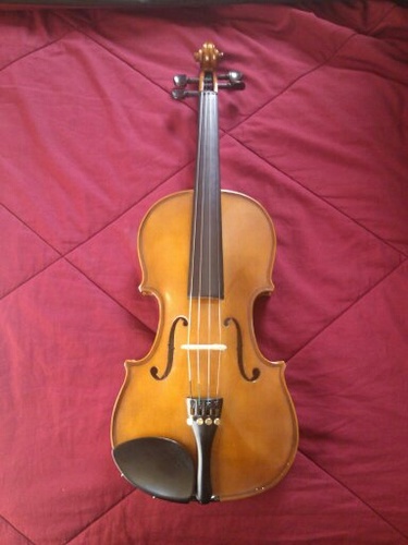 Cremona SV-130 Premier Novice Violin Outfit - 4/4 Full Size, Traditional Brown, Hand-Carved Spruce & Maple, Ebony Fittings, Prelude Strings, Kaufman-Style Chinrest, Fine Tuners customer photo 1
