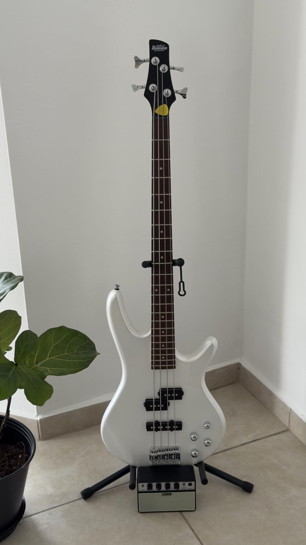 Ibanez Gio GSR200TR Bass Guitar - Transparent Red customer photo 2