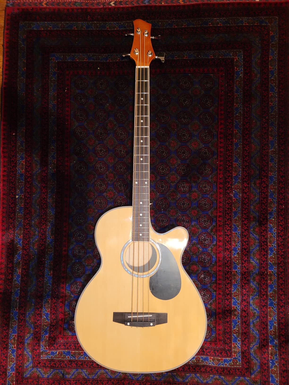Best Choice Products Acoustic Electric Bass Guitar, Full Size 4 String, Fretted Bass Guitar w/Padded Gig Bag - Blue customer photo 2