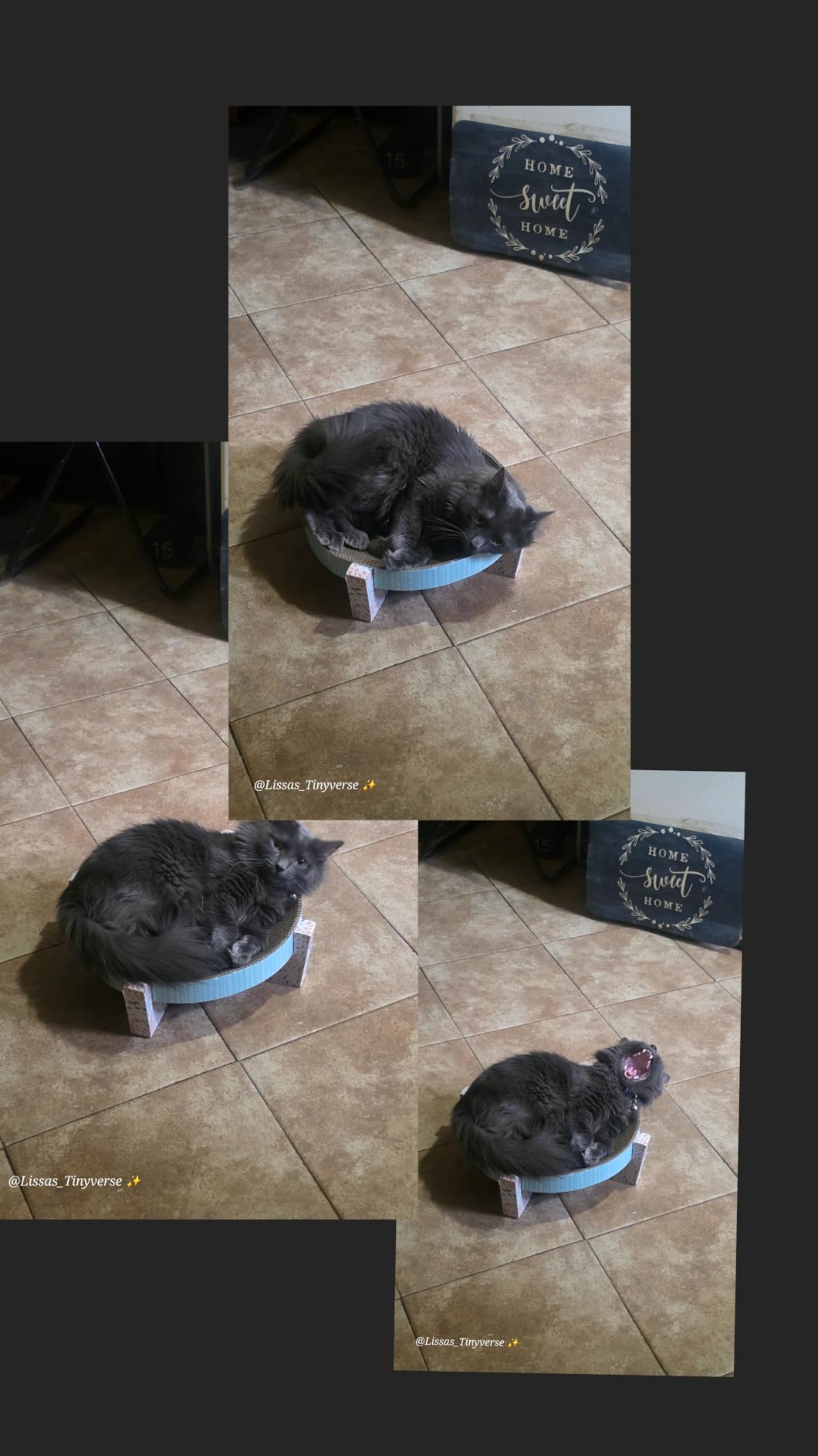 Catstages Scratch, Snuggle & Rest - 2-in-1 Indoor Cat Scratcher & Elevated Cat Lounger, Catnip Included customer photo 1