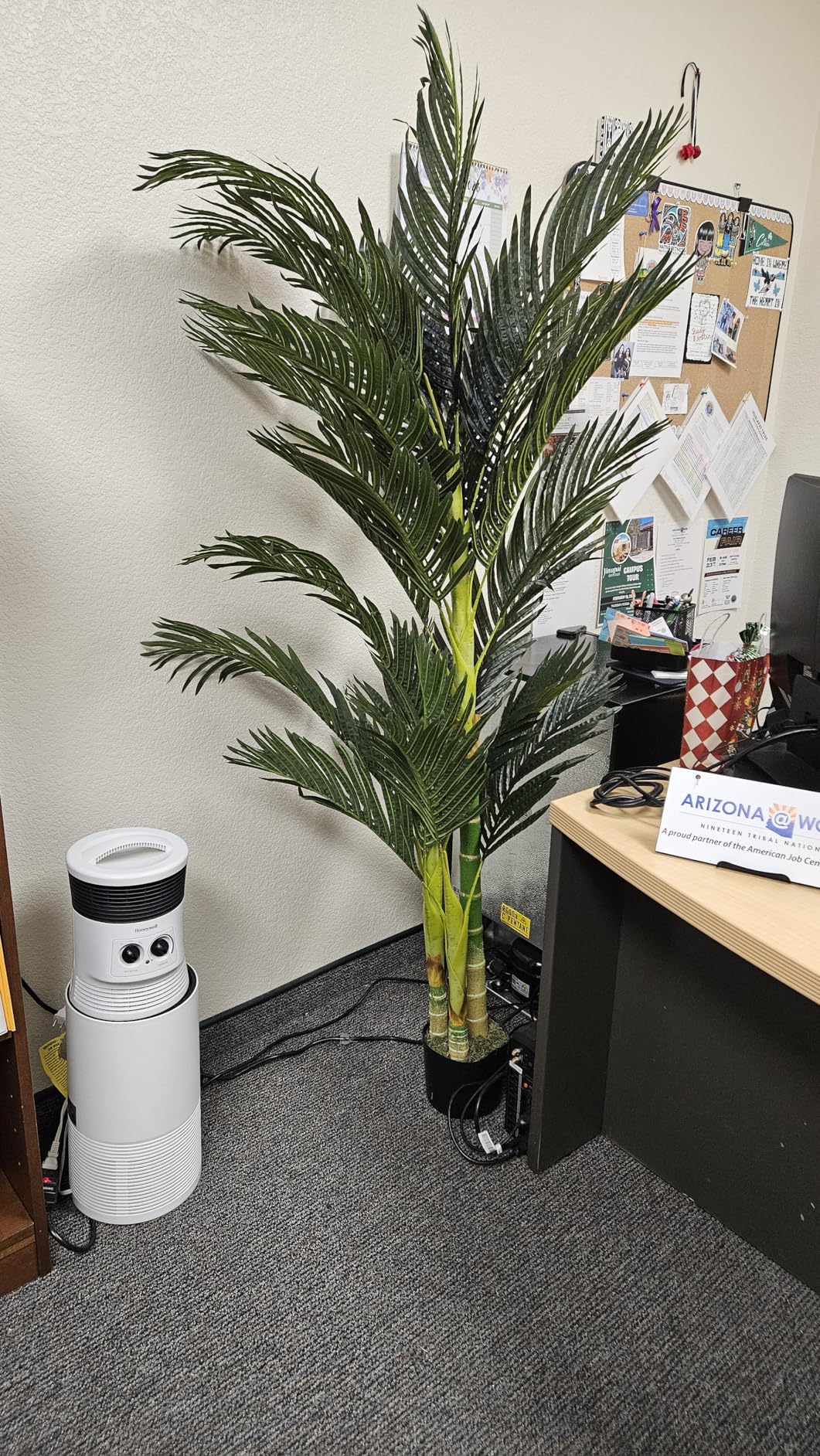 Nearly Natural 6.5ft Artificial Golden Cane Palm Tree, Lifelike Silk Indoor Palm With Three Textured Trunks Flexible Fronds Nursery Planter, Low Maintenance customer photo 1