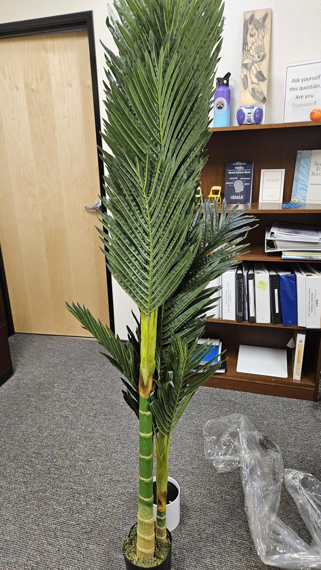 Nearly Natural 6.5ft Artificial Golden Cane Palm Tree, Lifelike Silk Indoor Palm With Three Textured Trunks Flexible Fronds Nursery Planter, Low Maintenance customer photo 2