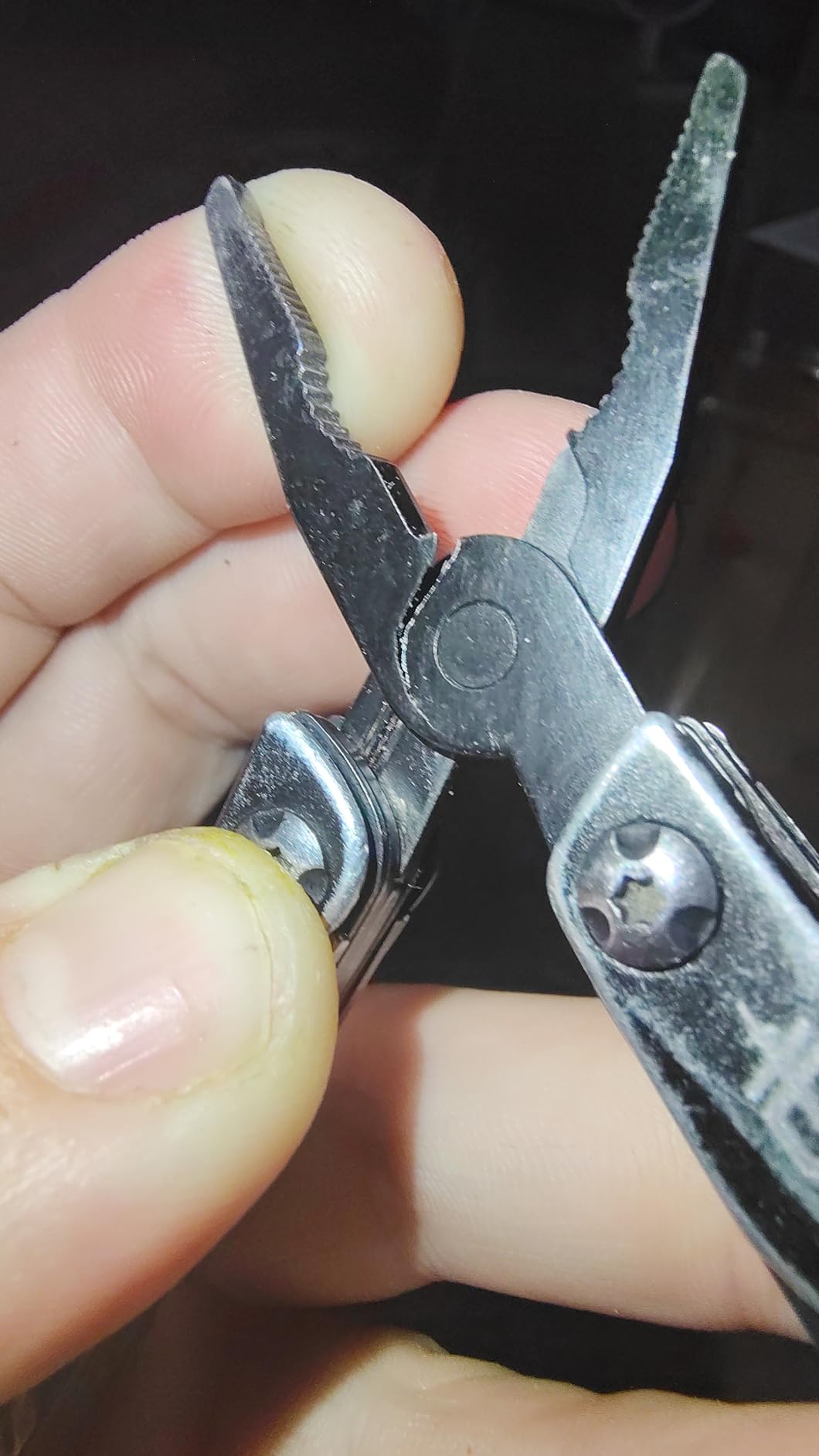 Gerber Gear Dime 12-in-1 Mini EDC Multitool - Needle Nose Pliers, Pocket Knife, Keychain, Bottle Opener - Gifts for Men, EDC Gear and Equipment - Black customer photo 2