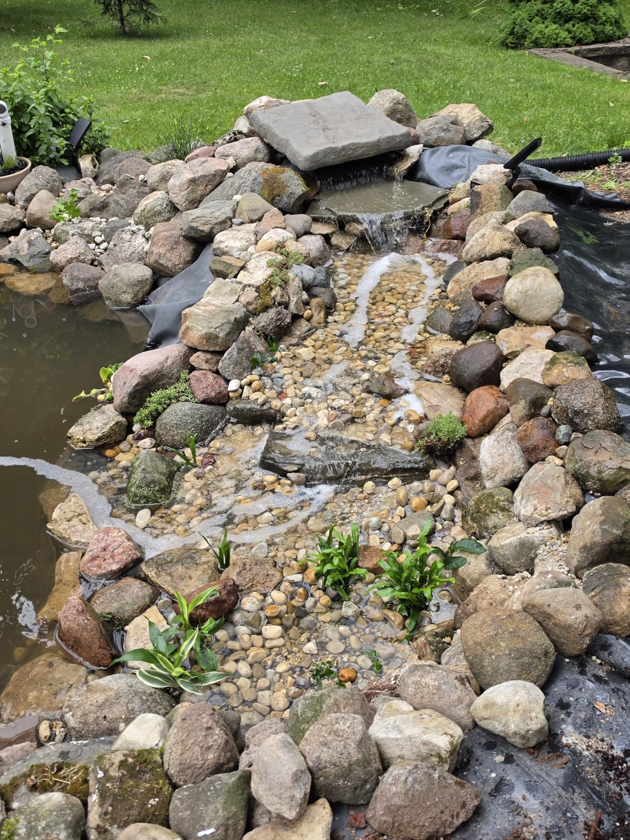 Anjon Lifeguard 20 ft. x 25 ft. 45 Mil EPDM Pond Liner customer photo 2