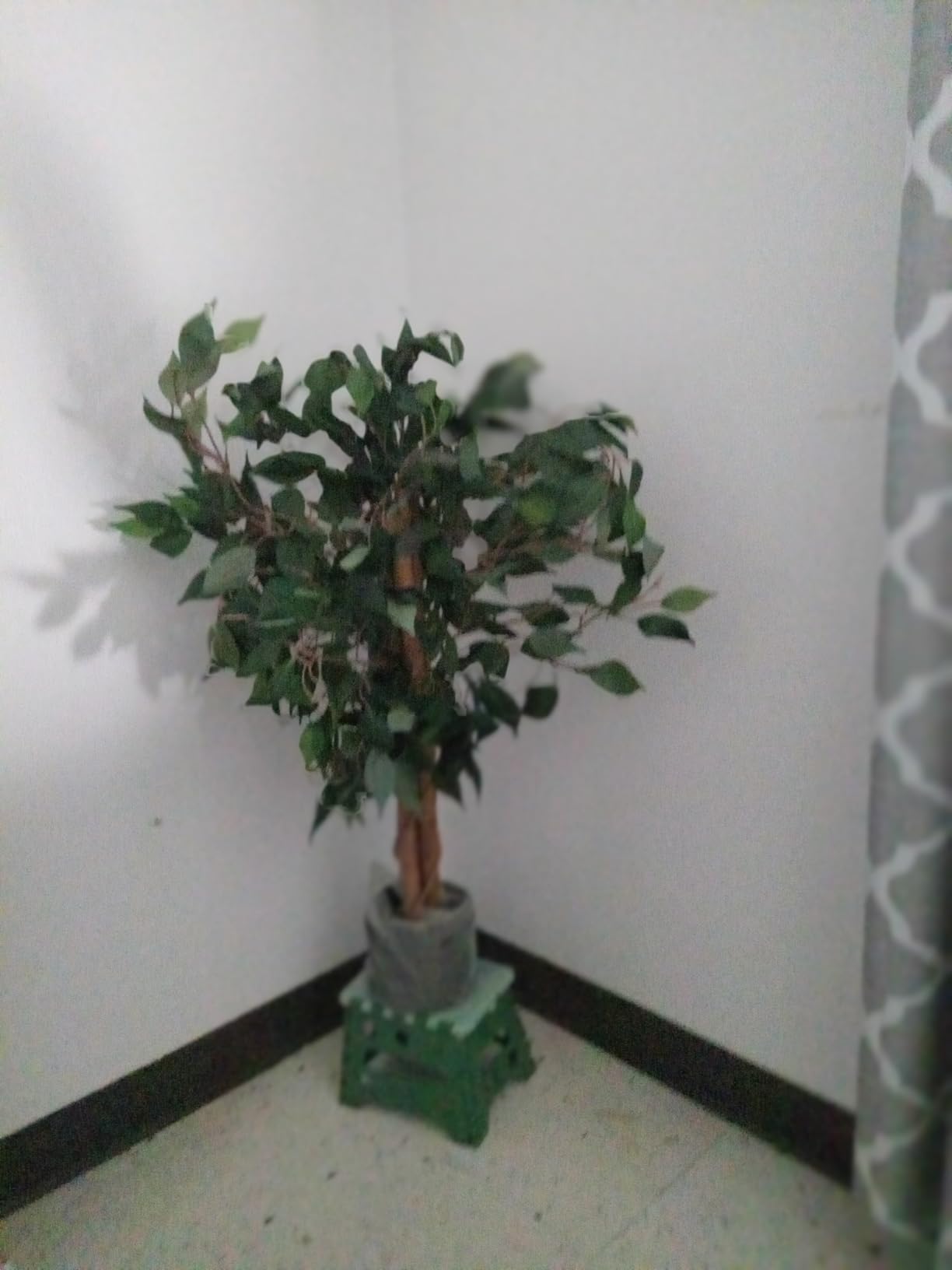 Nearly Natural 4ft Triple Trunk Ficus Silk Tree with Natural Wood Trunks and Dense Foliage, Mid-Size Faux Floor Plant for Home and Office customer photo 1