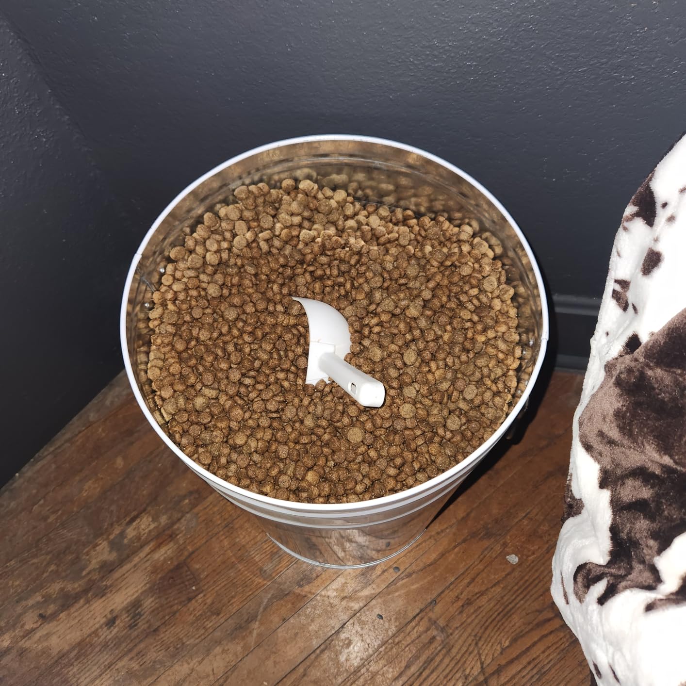 Harry Barker Bon Chien Dog Food Storage Canister - Large 11 gallon, Airtight Stainless Steel Pet Food Container, Stylish Kitchen Counter Dog Kibble Storage with Easy-Open Lid - White customer photo 1