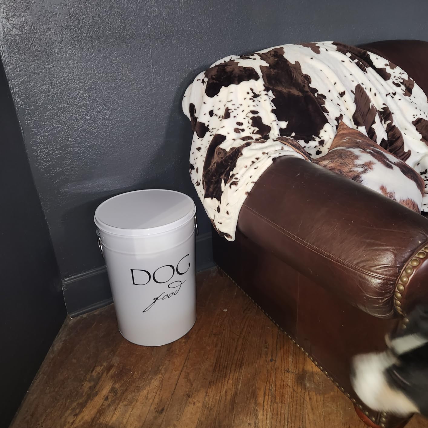 Harry Barker Bon Chien Dog Food Storage Canister - Large 11 gallon, Airtight Stainless Steel Pet Food Container, Stylish Kitchen Counter Dog Kibble Storage with Easy-Open Lid - White customer photo 2