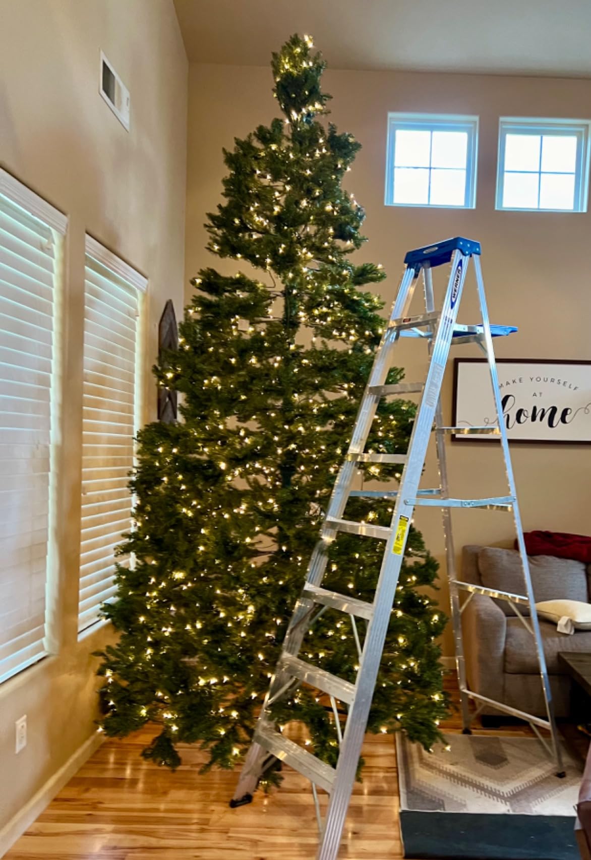 National Tree Company Pre-Lit Artificial Full Christmas Tree, Green, Dunhill Fir, White Lights, Includes Stand, 9 Feet customer photo 1