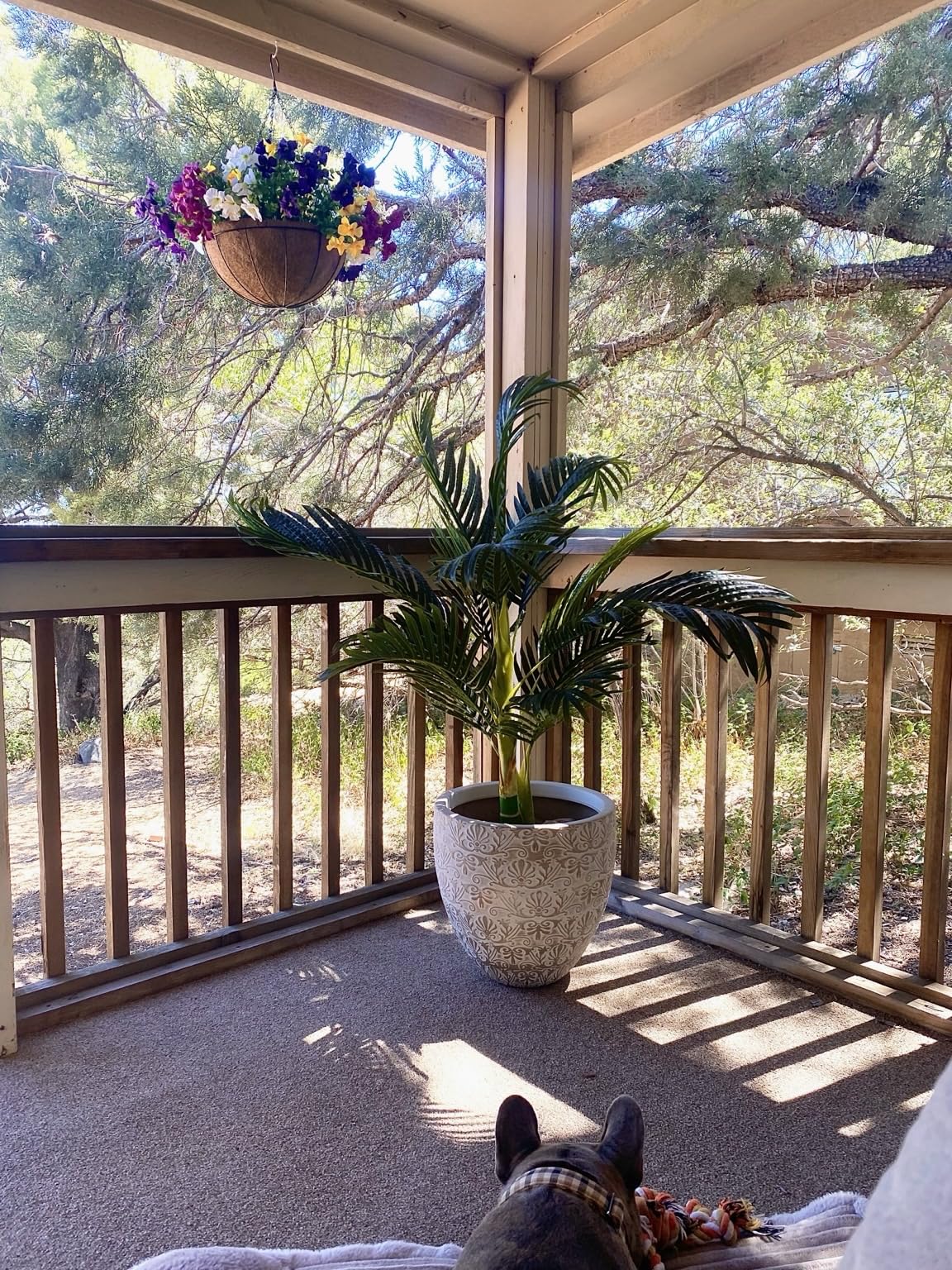 Nearly Natural 4ft Golden Cane Palm, Double Stalk Artificial Tree With Lush Realistic Foliage Maintenance Free Indoor Faux Palm Plant For Living Room, Easy Setup, Perfect Tropical Decoration customer photo 1