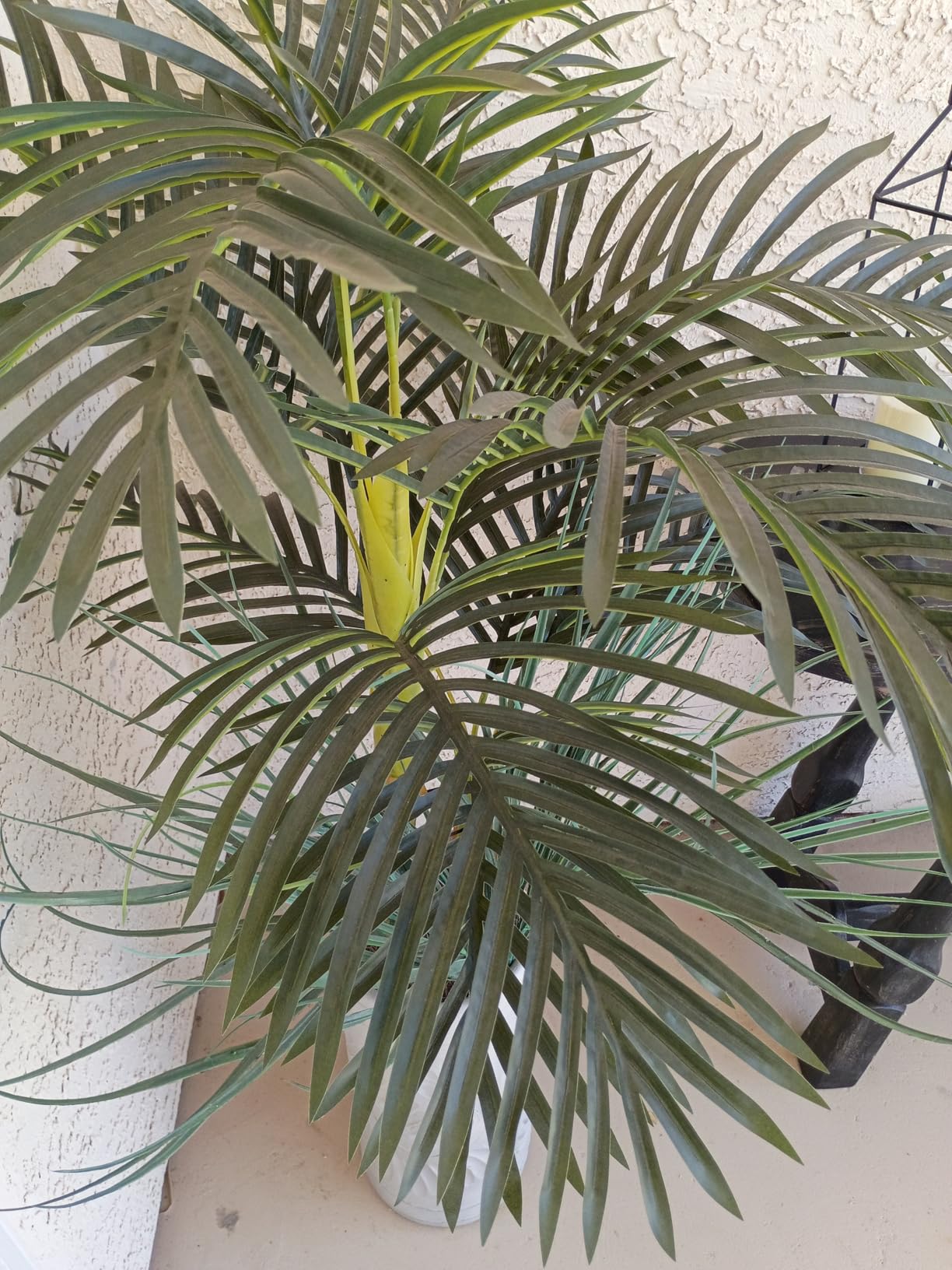 Nearly Natural 4ft Golden Cane Palm, Double Stalk Artificial Tree With Lush Realistic Foliage Maintenance Free Indoor Faux Palm Plant For Living Room, Easy Setup, Perfect Tropical Decoration customer photo 2