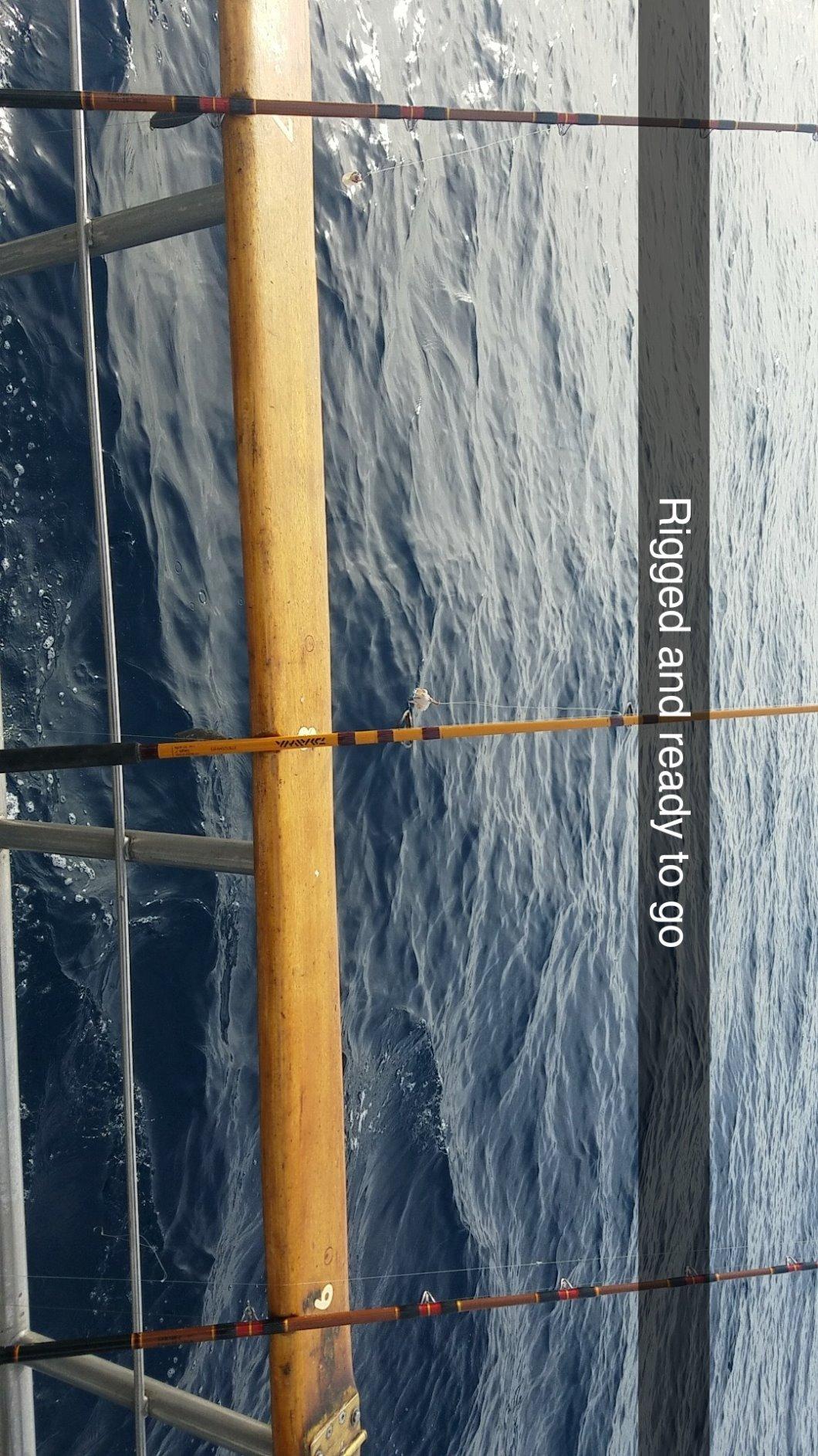 SpiderWire Stealth Braid Fishing Line customer photo 1