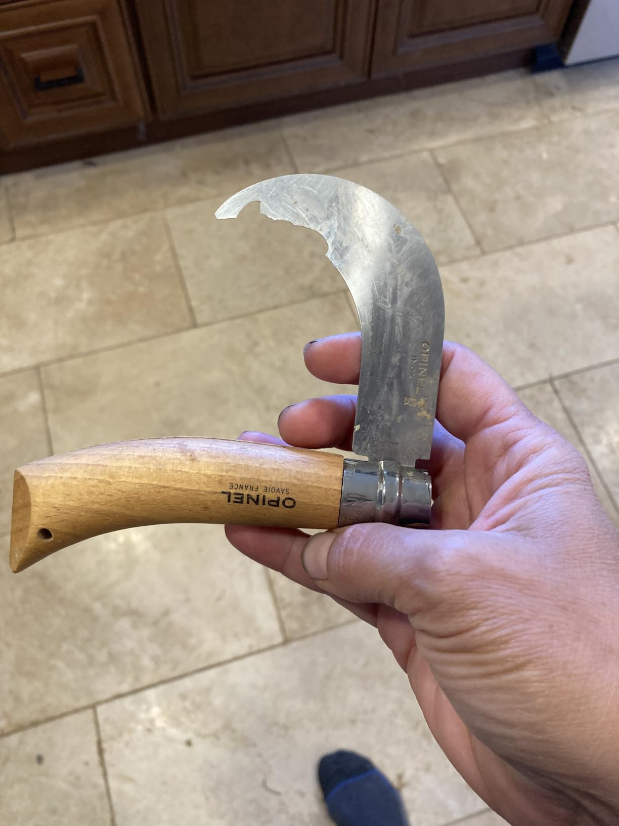 Opinel No. 10 Pruning Folding Knife - Stainless Steel for Pruning, Grafting, Orchards, Vineyards, and Gardening customer photo 1