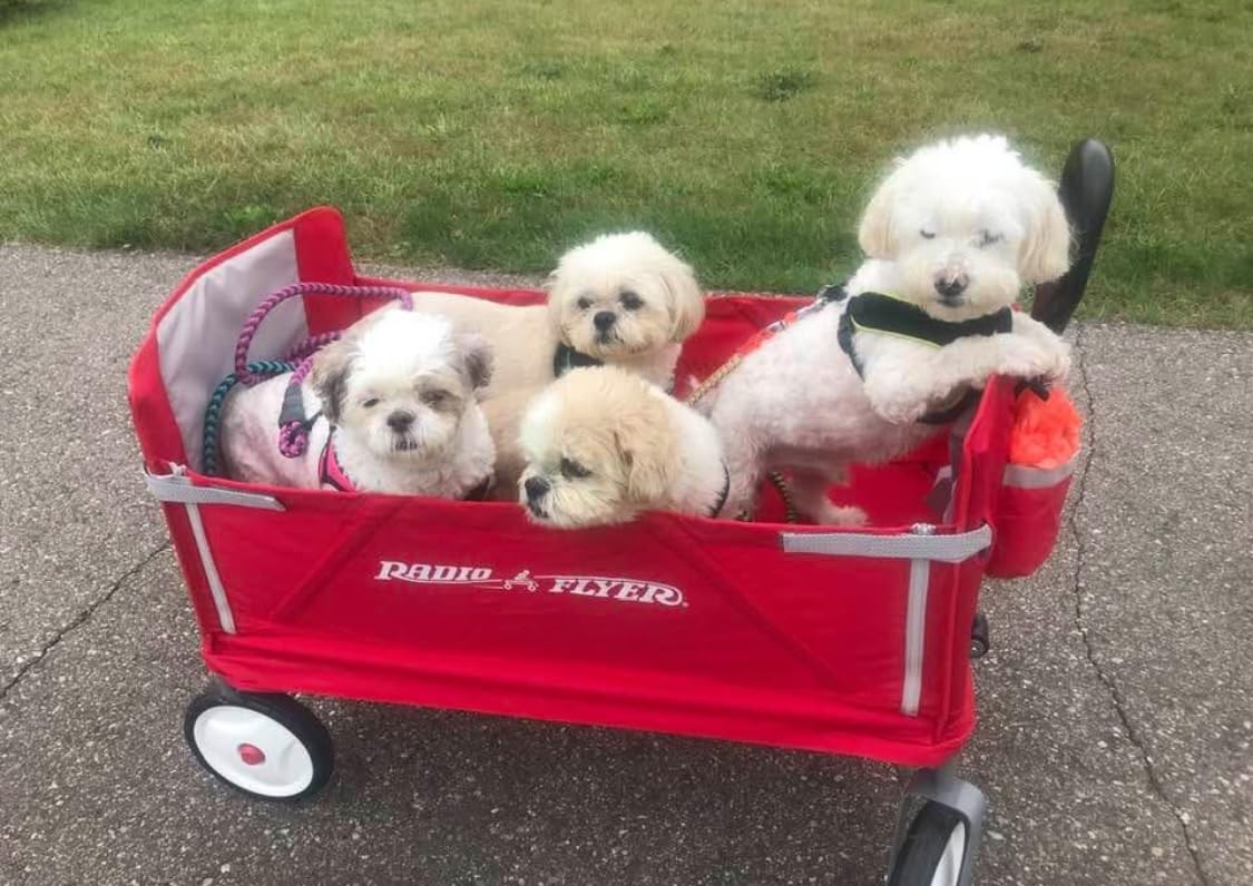 Radio Flyer 3-in-1 EZ Folding Wagon Ride On for Kids, Garden, & Cargo, Red Collapsible Wagon customer photo 1