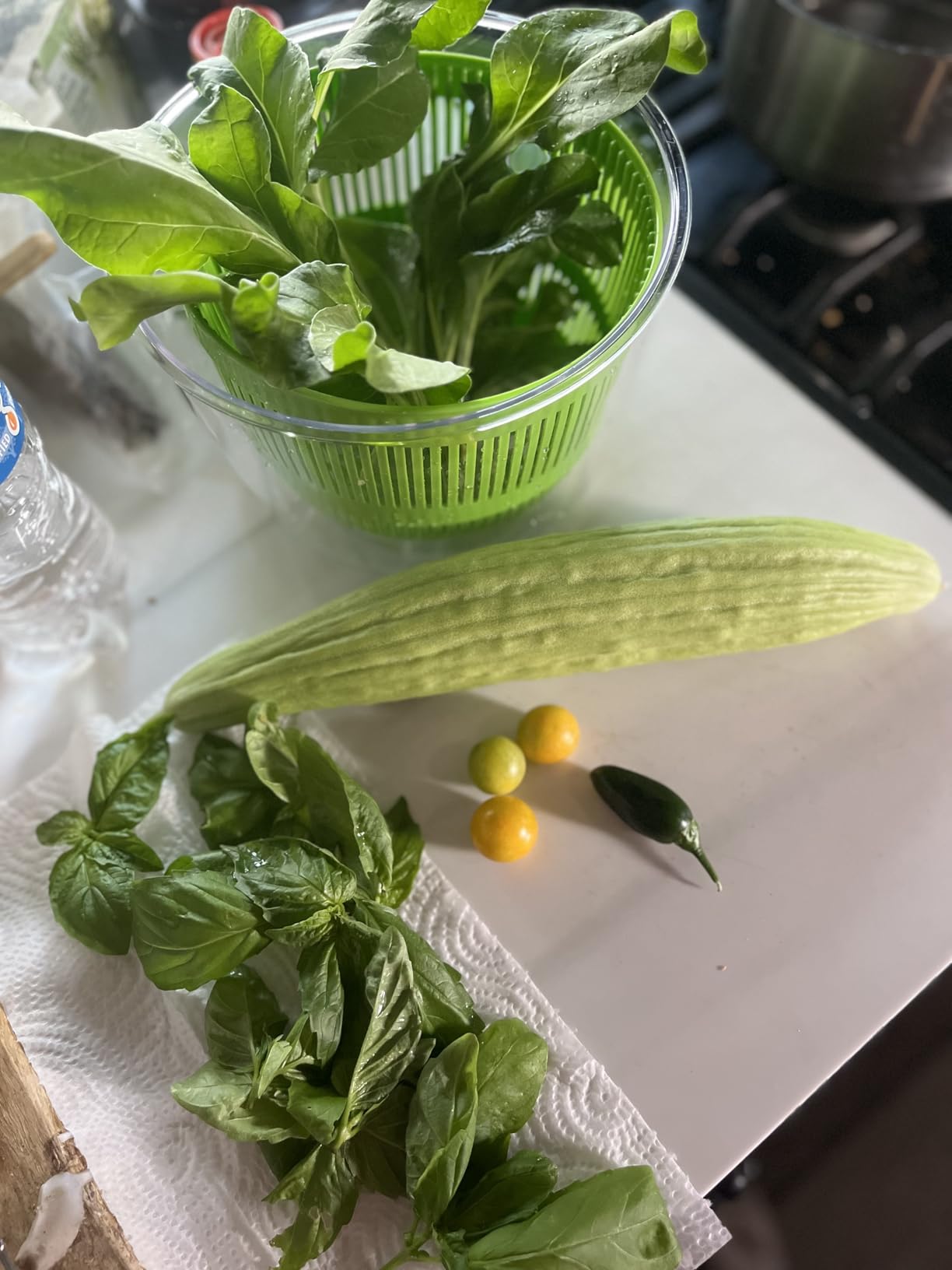 Cuisinart Salad Spinner - Wash, Spin & Dry Salad Greens, Fruits & Vegetables, 3qt, CTG-00-SSAS customer photo 1