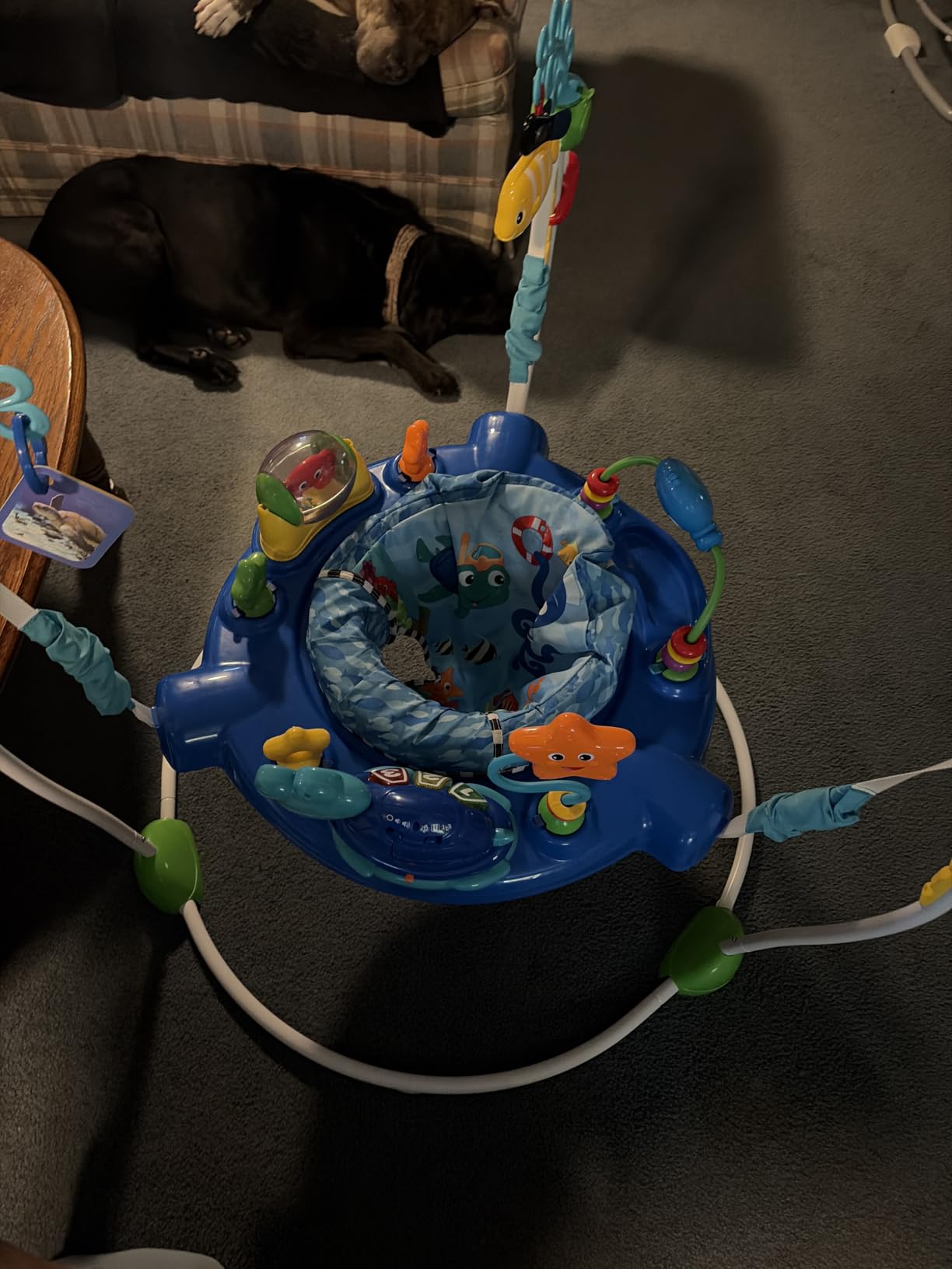 Baby Einstein Neighborhood Symphony Activity Baby Jumper Activity Center, Infant Entertainer with Lights and Melodies, Age 6 Months +, Max Weight 25 lbs., Unisex customer photo 1