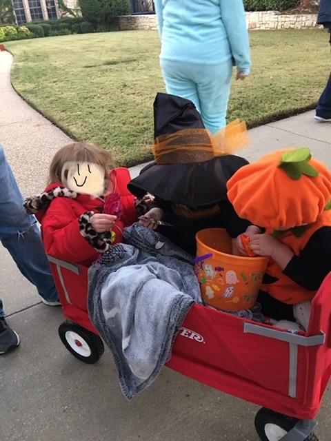 Radio Flyer Stroller Wagon for Kids and Cargo, All-Terrain Wagon with Rubber Tires, Red customer photo 2