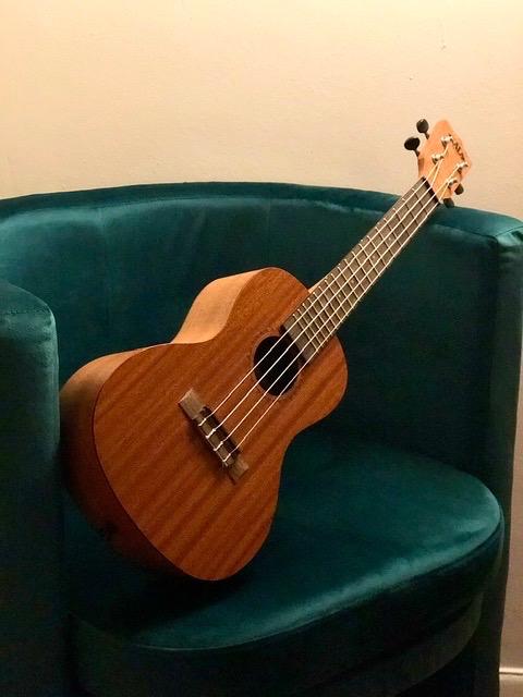 Official Kala Learn to Play Ukulele Concert Starter Kit, Satin Mahogany (KALA-LTP-C) customer photo 1