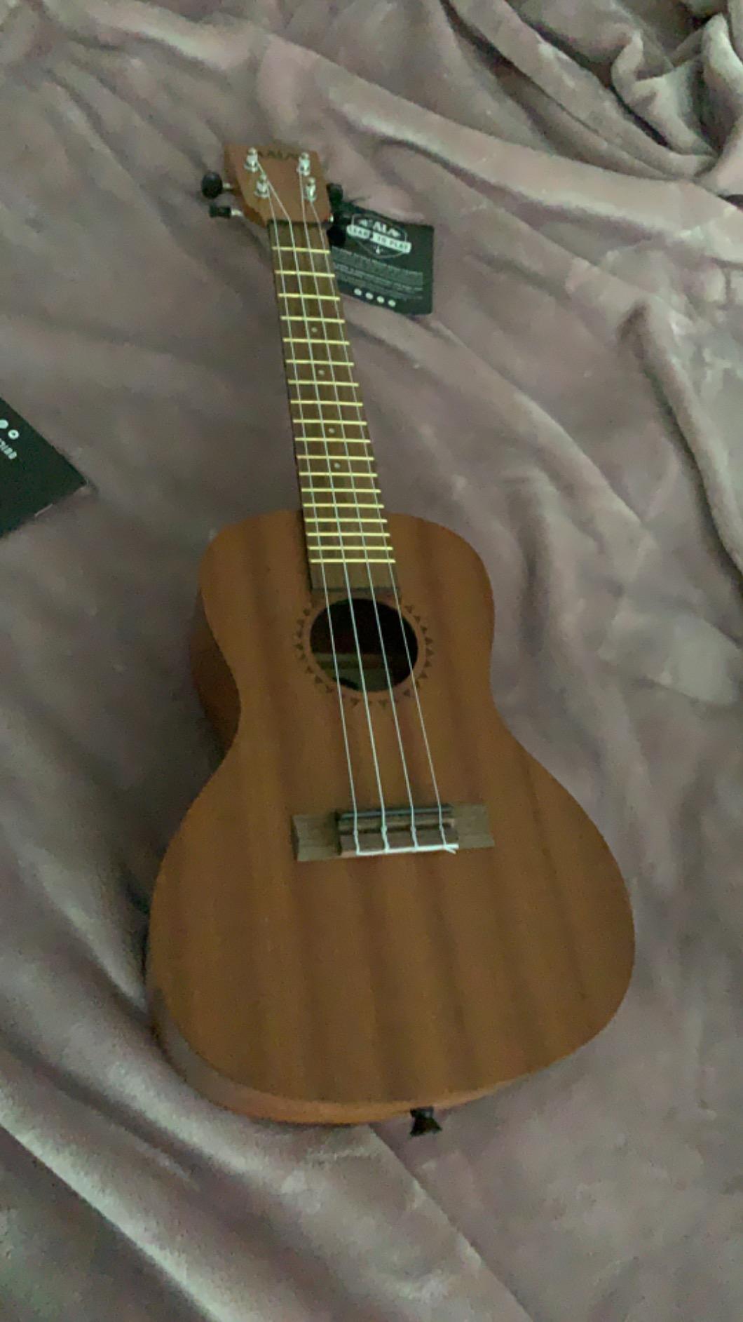 Official Kala Learn to Play Ukulele Concert Starter Kit, Satin Mahogany (KALA-LTP-C) customer photo 2