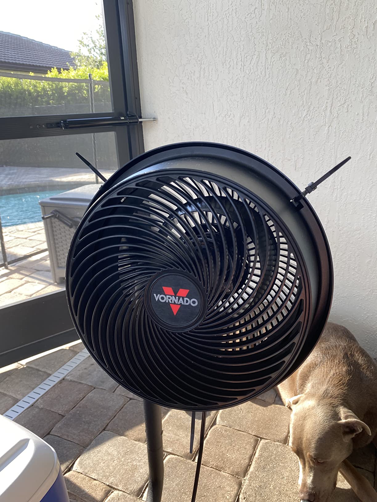 Vornado 693 Mid-Size Whole Room Air Circulator Fan with Adjustable Height, Black, Medium customer photo 2