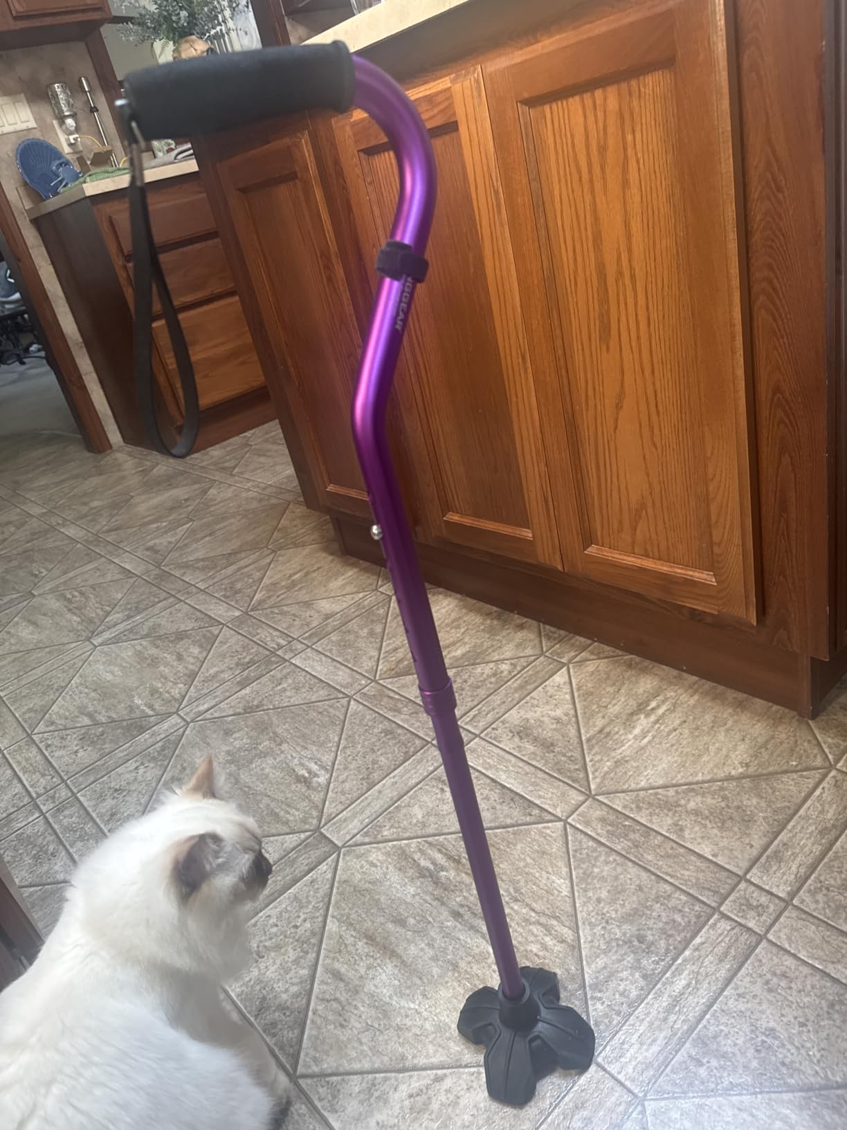 Self Standing Walking Cane Quad Base for Seniors | Lightweight aluminum, foldable design, 31-36 in adjustable height, EVA offset handle, self-standing quad base customer photo 1