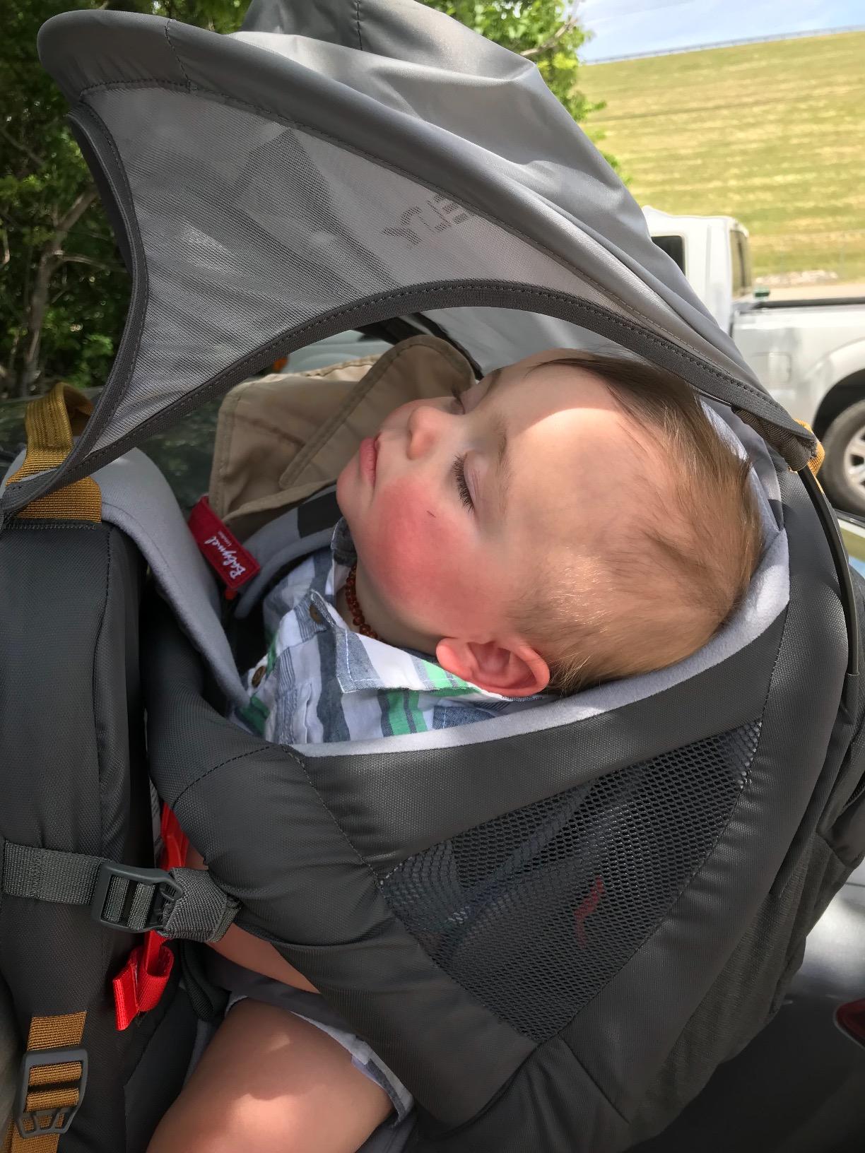 Kelty Journey PerfectFit Child Carrier Backpack, Adjustable Suspension with Hipbelt, 5 Point Safety Harness, Large Zippered Mesh Pockets customer photo 1