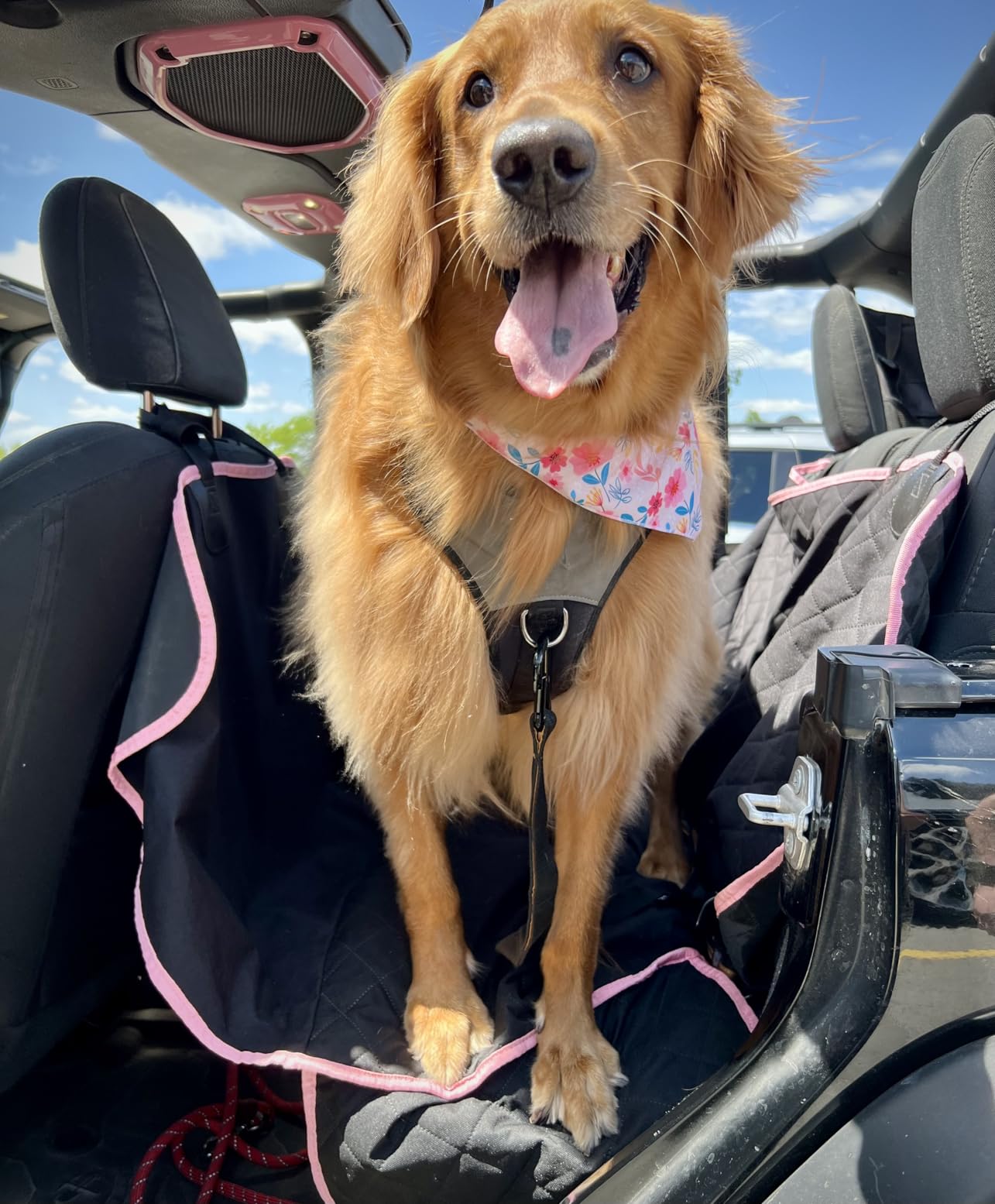 Active Pets Black Standard Dog Car Hammock Back Seat Cover, Waterproof Backseat Cover Protector for Truck Bench Rear of Sedans or SUVs, Machine Washable customer photo 2