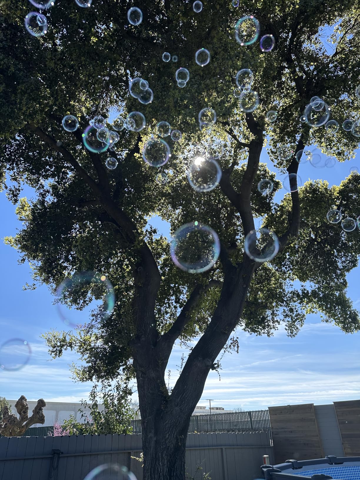 ATDAWN 1L High-Capacity Automatic Bubble Machine with 45ft Remote, Professional Metal Bubble Blower for Wedding Party Stage Event Indoor Outdoor Use customer photo 2