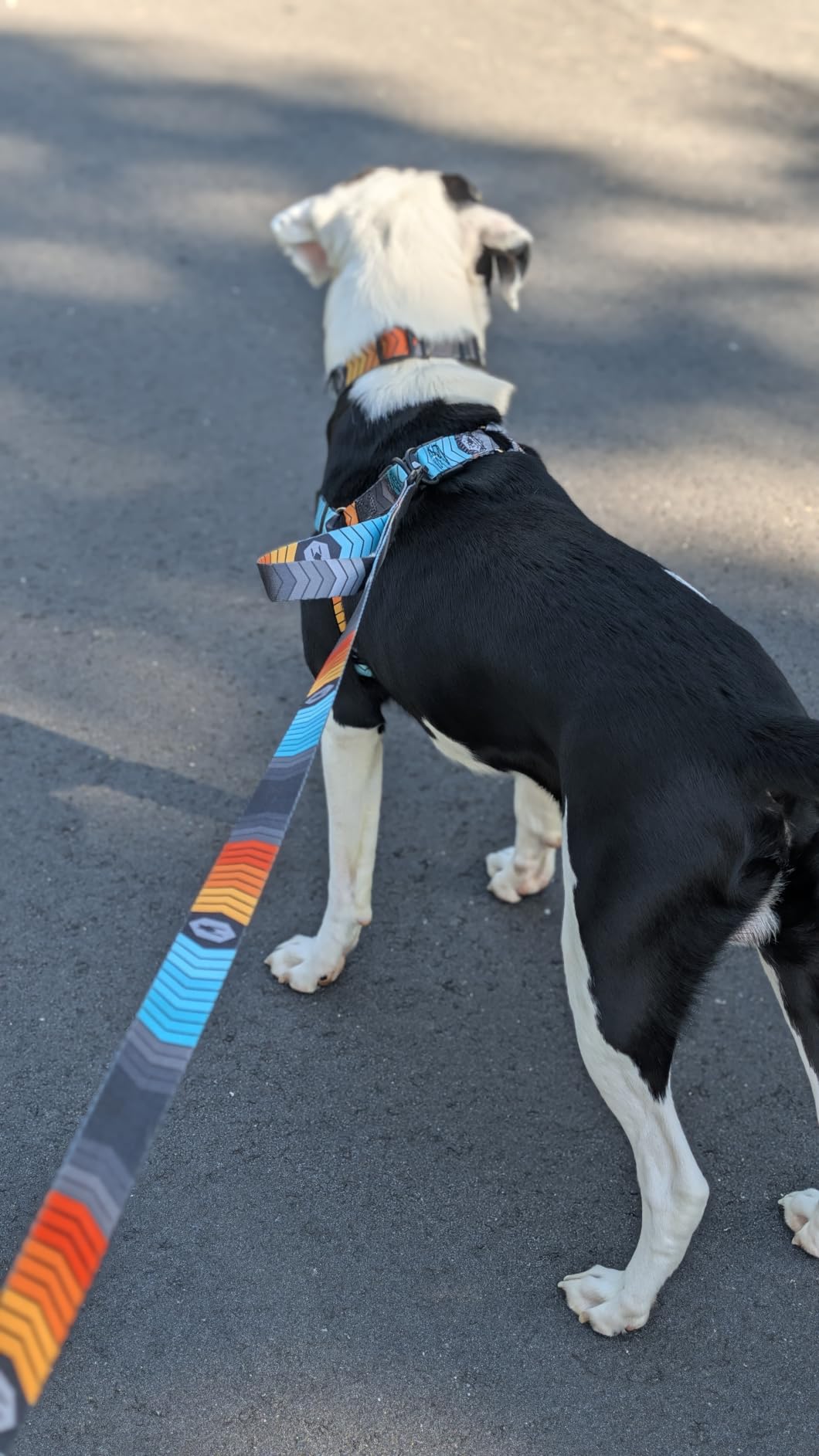 Wolfgang Heavy Duty Dog Leash, Pull-Tested to Over 800 lbs for Walking & Training, Overland Print, Large customer photo 1