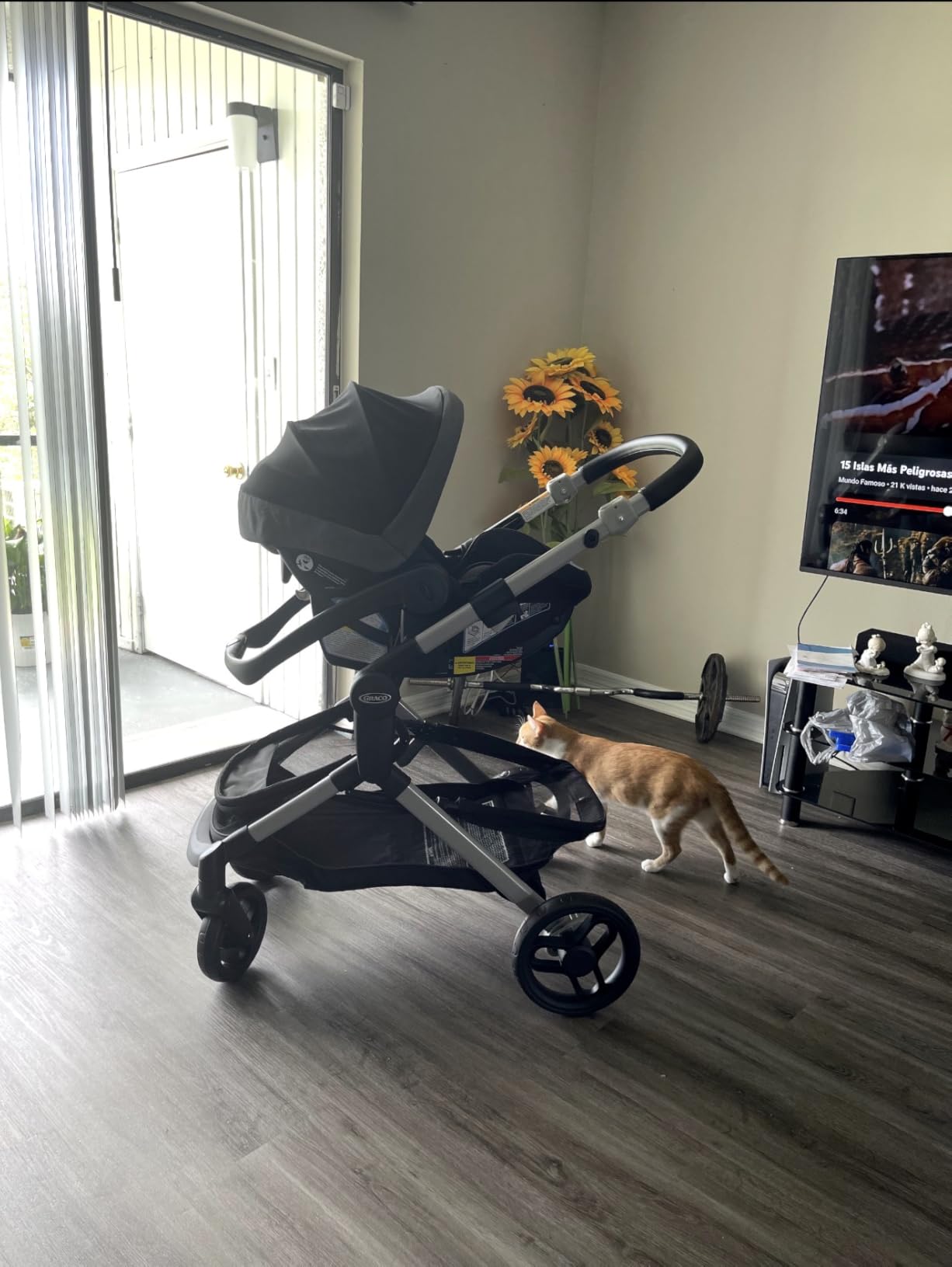 Graco Modes Nest Travel System, Sullivan customer photo 2