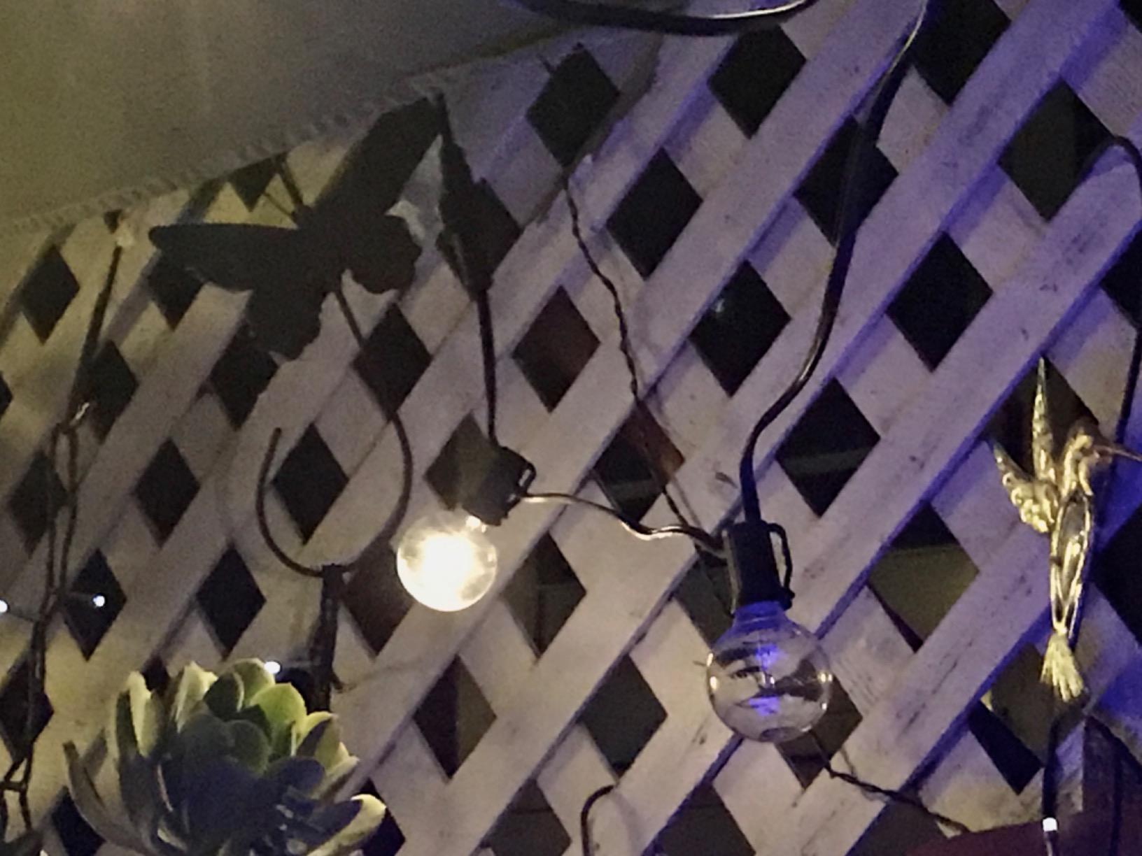 PERFECTDAY Solar String Lights, Shatterproof LED Solar String Light Outdoor G40 Umbrella Lights with 25 Bulbs - 27 Ft Patio Waterproof Lights customer photo 2