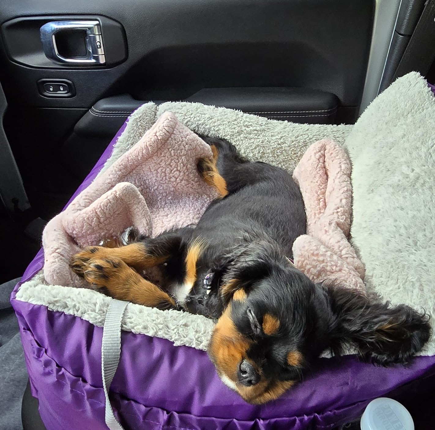 BurgeonNest Dog Car Seat for Small Dogs, Soft Pet Car Travel Home Bed Under 25 lbs, Fully Detachable and Washable Cat Booster Carseats with Storage Pockets and Clip-On Leash Portable Carrier, Black customer photo 1