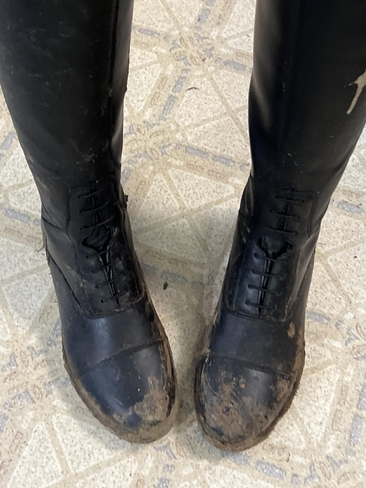 HORZE Rover Women's Synthetic Leather Equestrian Boots with Rear Zipper | Durable, Comfortable Horse Riding Boots for Women, for Show, Stable and Arena Use, Everyday Training for Horseback Riders customer photo 2