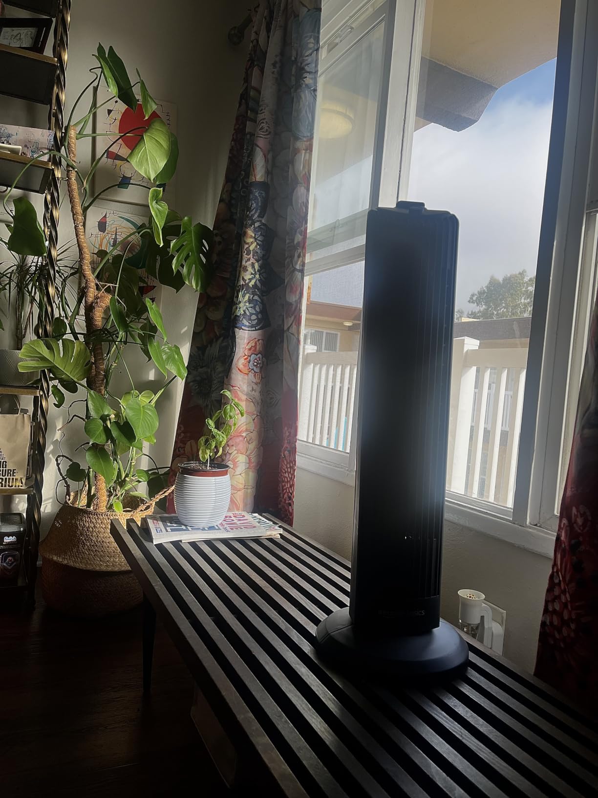 Amazon Basics 28