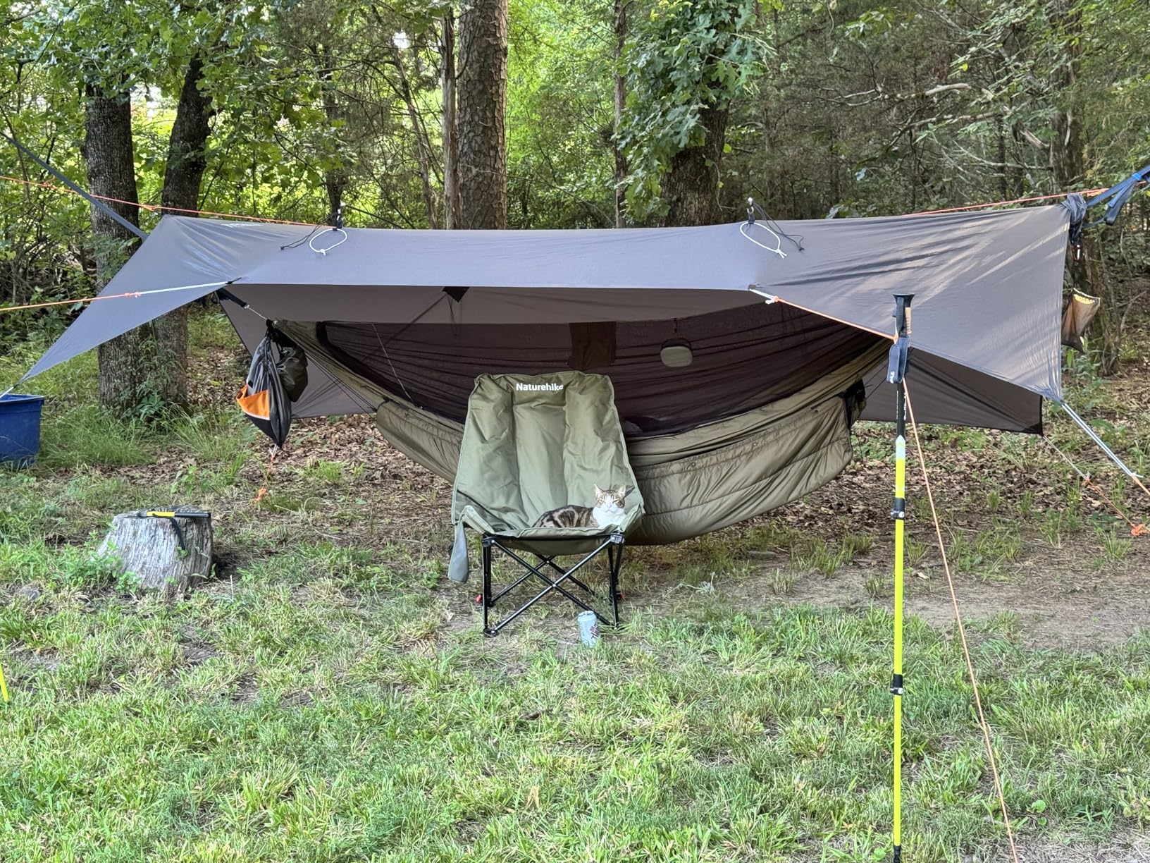 Onewind 11ft Camping Hammock with Mosquito Net and Structure Ridgeline, Lightweight Portable Hammock with 12ft Tree Straps Ideal for Outdoor Hiking Backpacking, OD Green customer photo 2