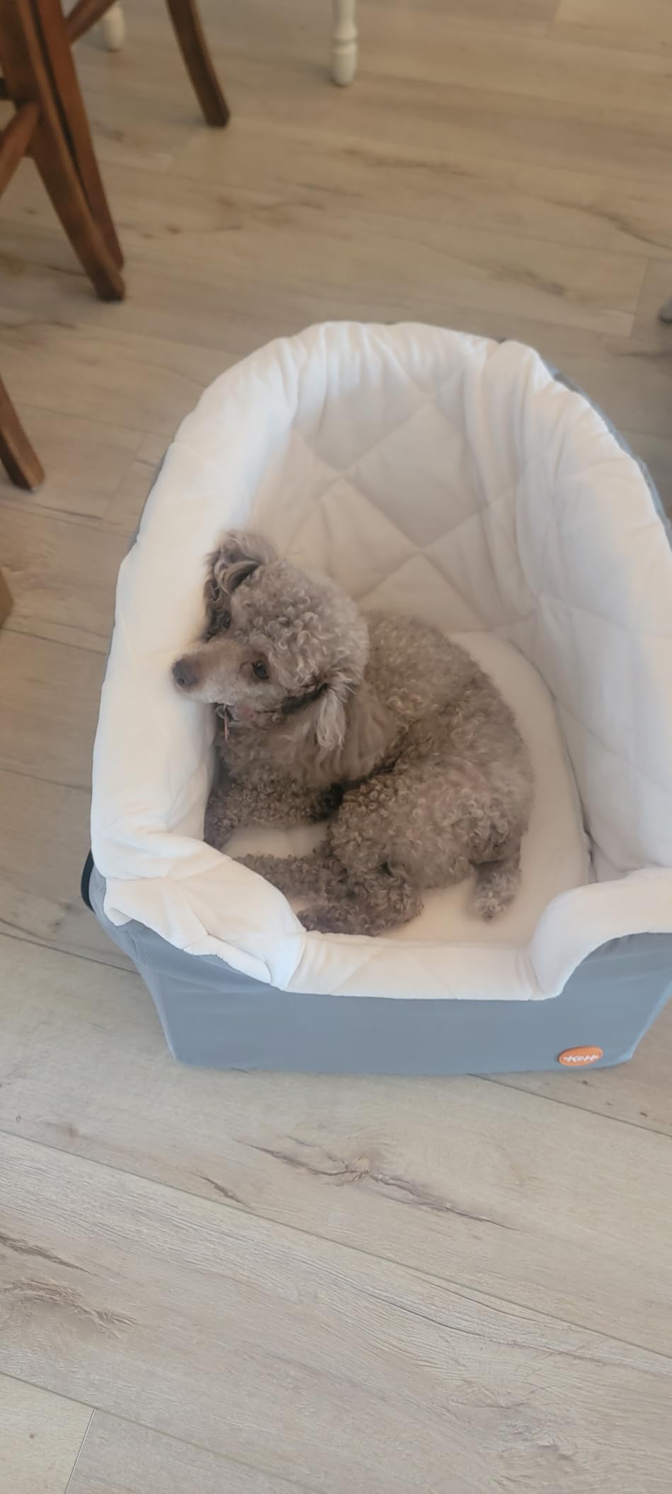K&H Pet Products Bucket Booster Dog Car Seat, Sturdy Cat or Dog Booster Seats - Small Black/Cream customer photo 1