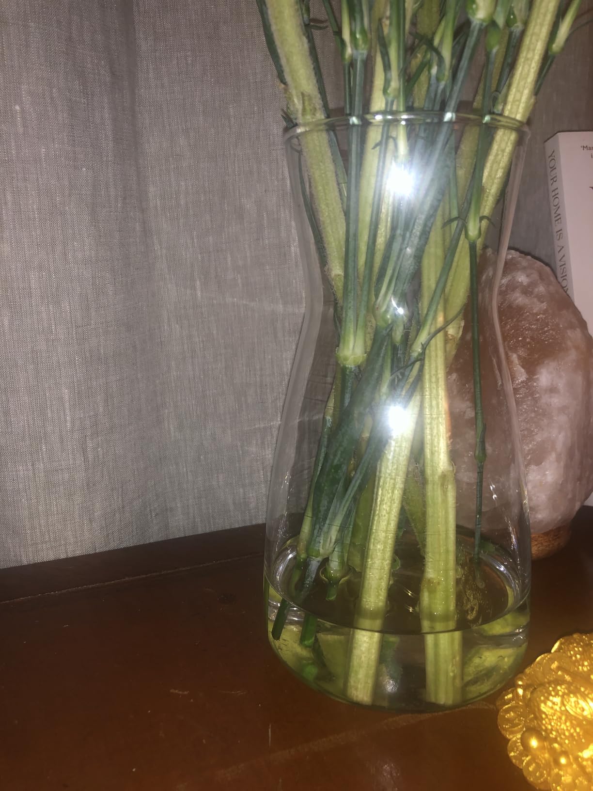 8 inch Clear Glass Flower Vases for Centerpiece Table Home Indoor Desk Decor, Ins Modern Boho Style Vase for Wedding Housewarming Gift customer photo 2