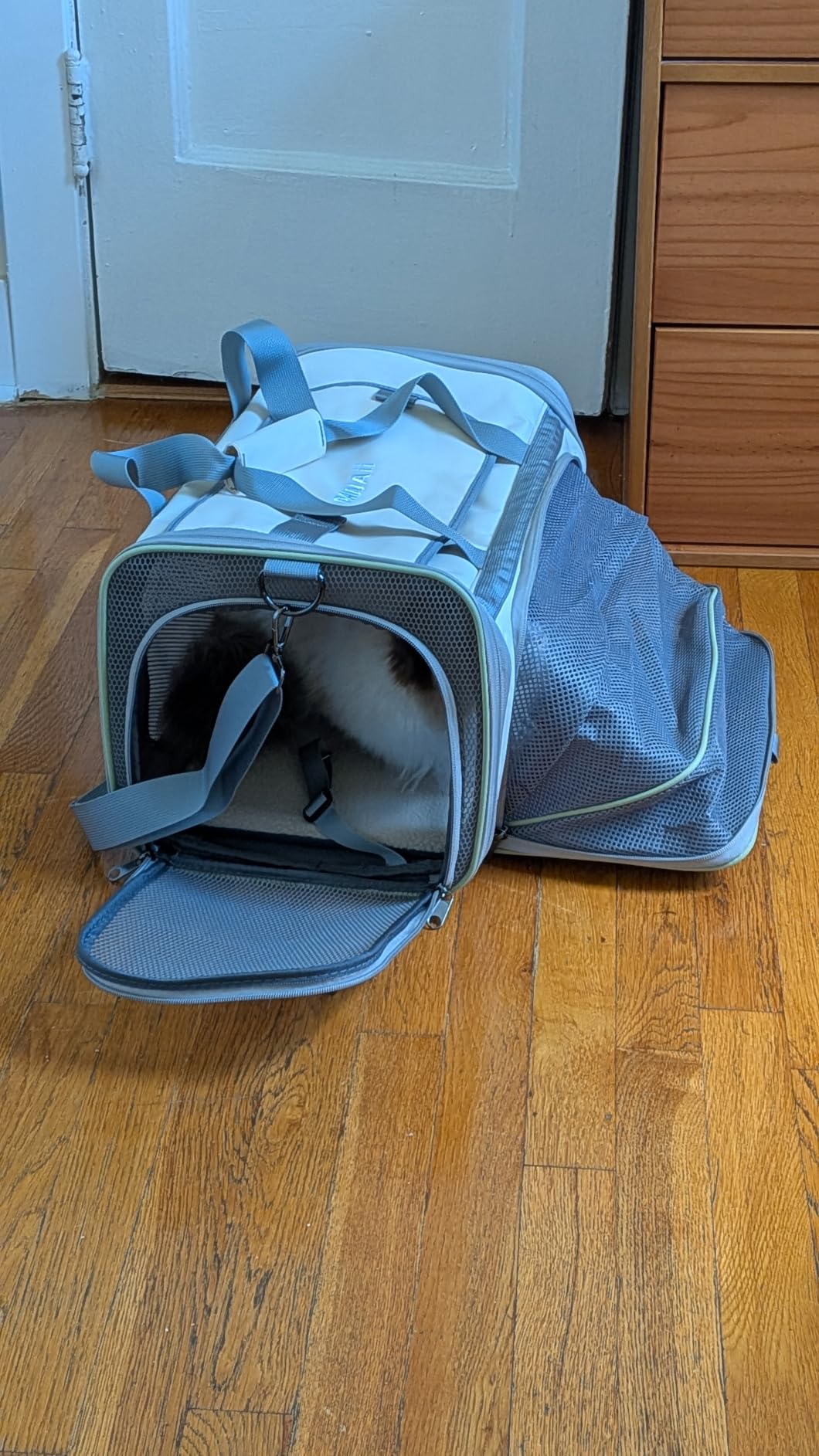 Pawaii Cat Carrier with ID Tag, TSA Airline Approved Soft Sided Collapsible Pet Travel Carrier, Portable Comfortable Convenient Foldable Cat Travel Bag customer photo 1