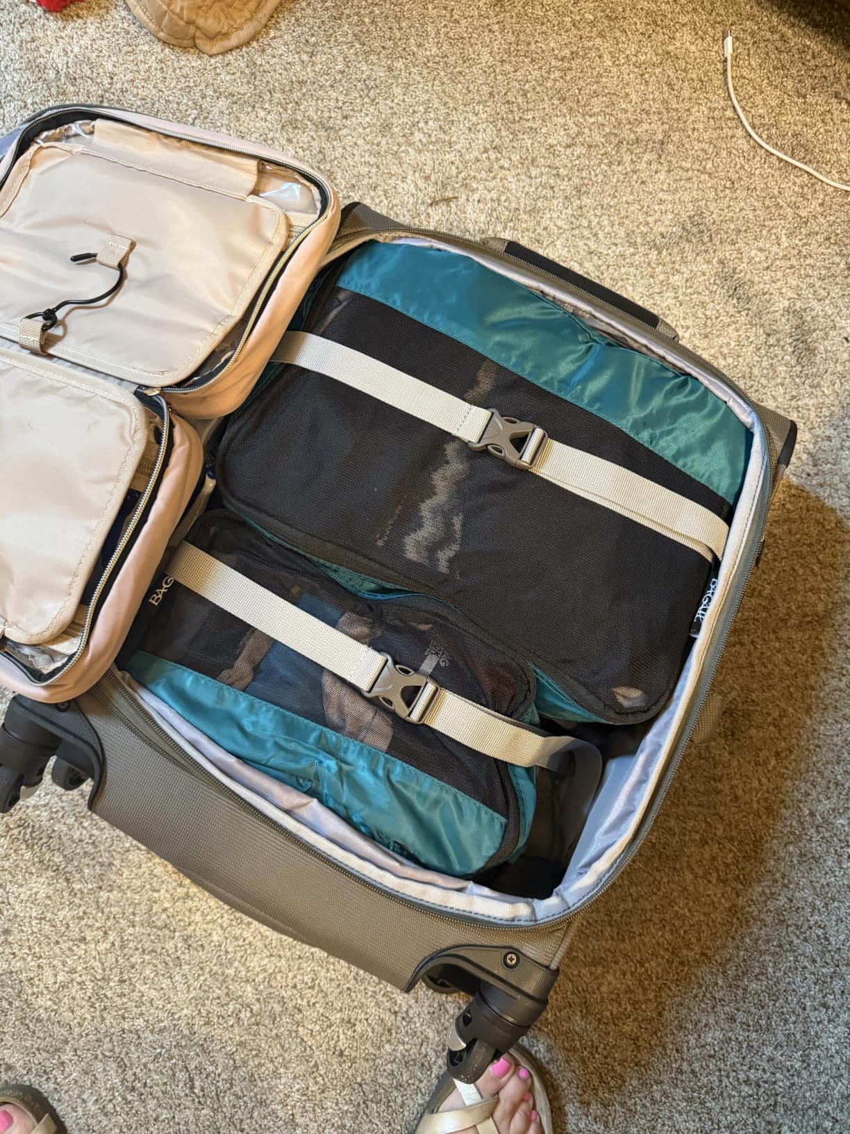 Travelpro Maxlite 5 Softside Expandable Luggage with 4 Spinner Wheels, Lightweight Suitcase, Men and Women, Ensign Blue, Checked-Medium 25-Inch customer photo 1