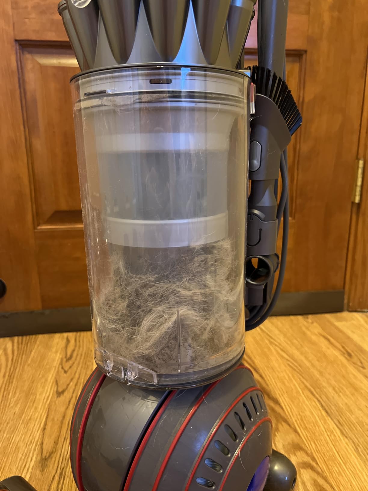 Dyson Ball Animal 3 Upright Vacuum, Corded, 290AW, De-tangling Motorbar Cleaner Head for All Floors customer photo 1