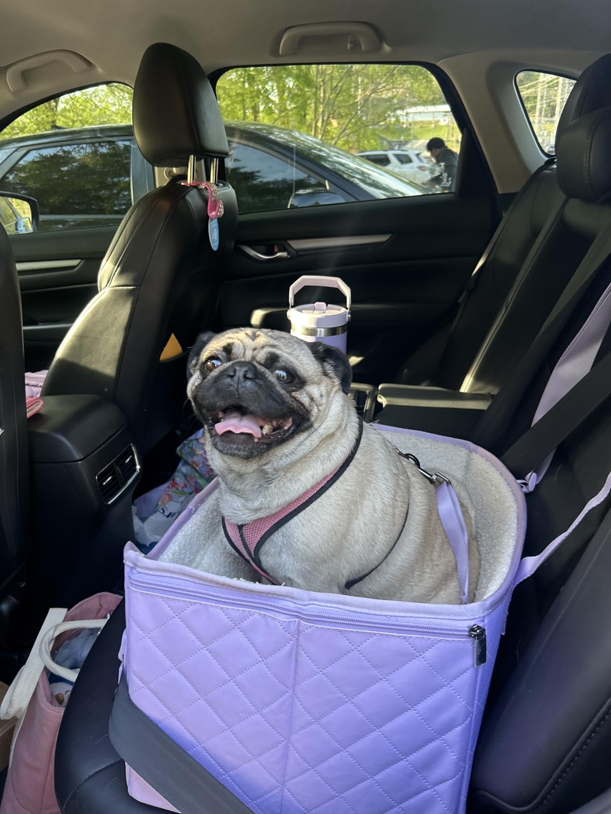 PETSFIT Dog Car Seats for Small Dogs - Patented Safety Buckles - Safety Tether - Foldable Travel Dog Booster Car Seat Reduces Anxiety & Road Trips - Stable Frame, Soft Cushion, Fits Front/Back Seat customer photo 1