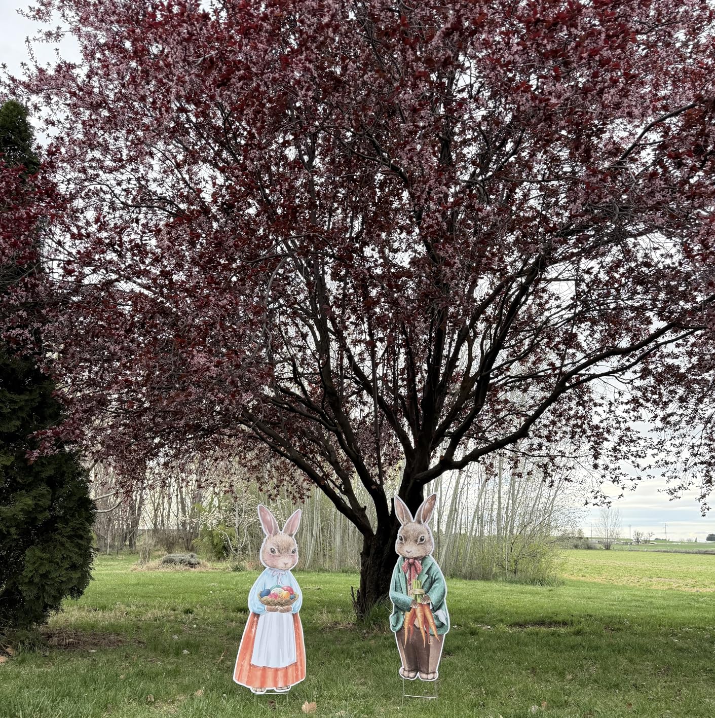 Capoda 2 Pack Easter Decorations Outdoor Yard Signs Bunnies 32.2 x 12.9 Inch Easter Eggs Yard Stake with H Stands customer photo 1